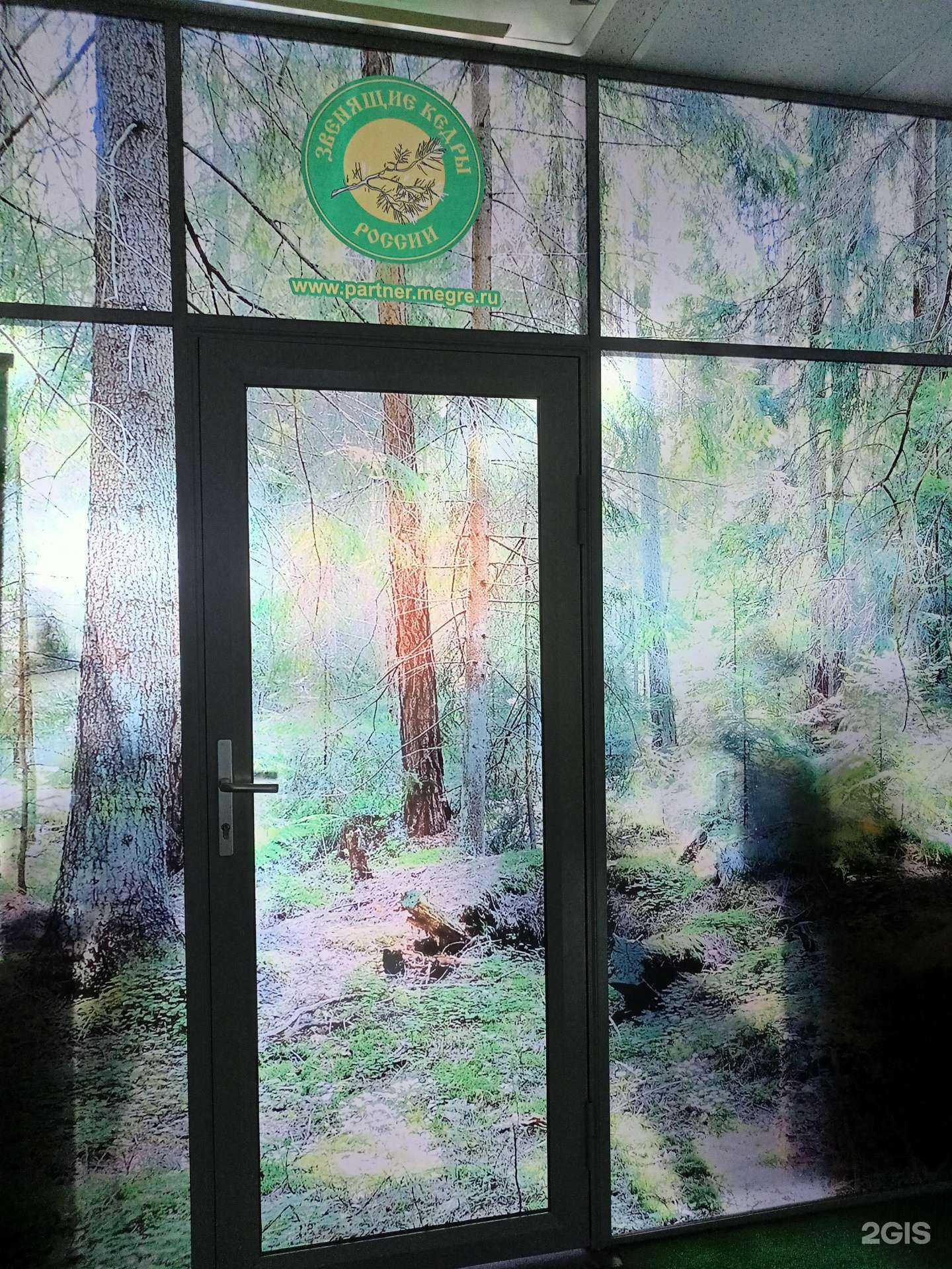 Отзывы на компанию Звенящие кедры России в Новосибирске c фото