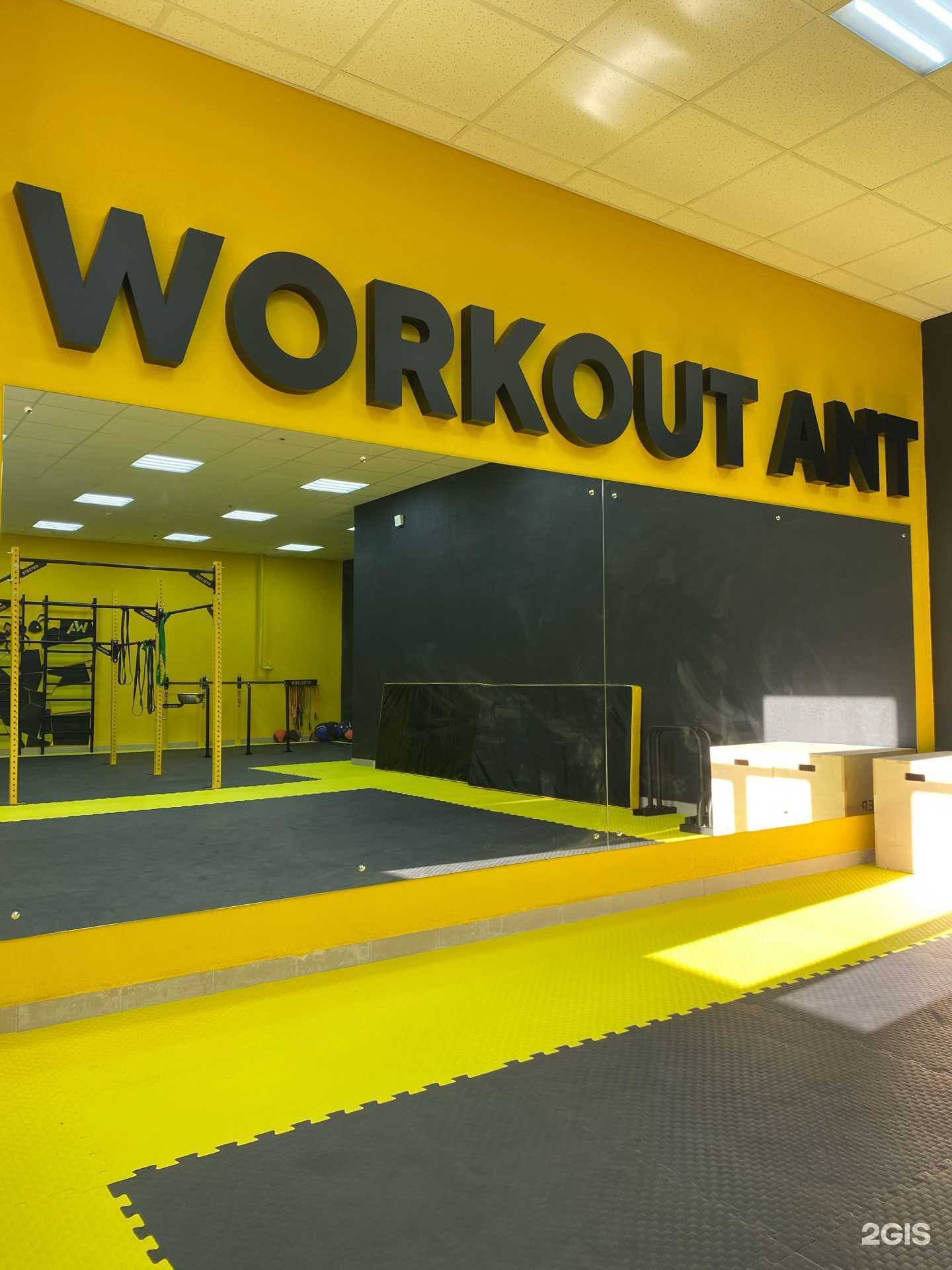 Отзывы на компанию Workout Ant в г. Сыктывкар c фото