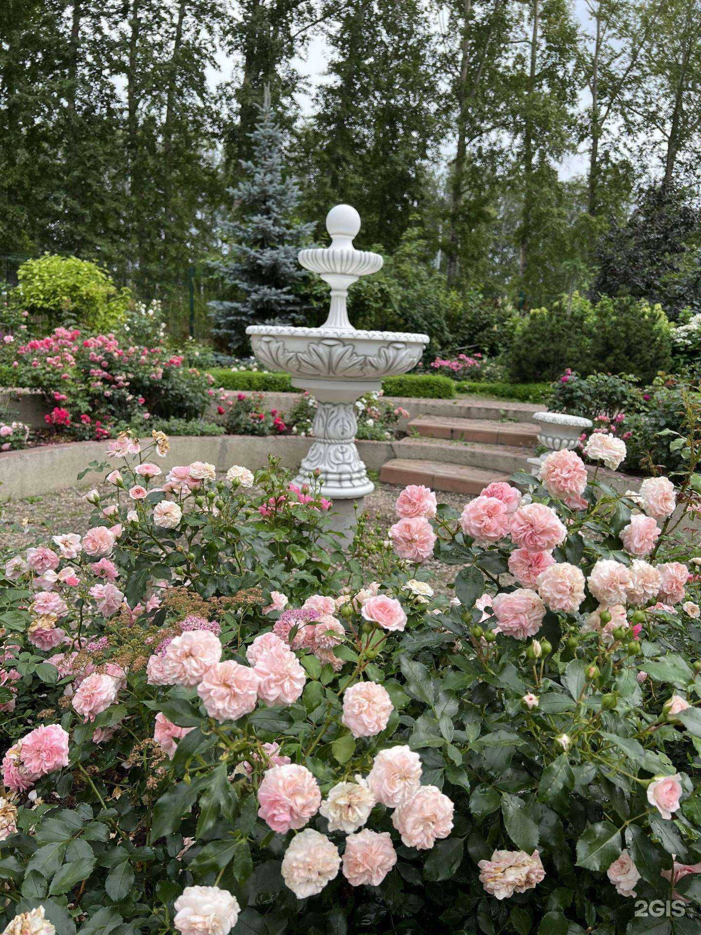 Отзывы на компанию Сияние в г. Новосибирск c фото