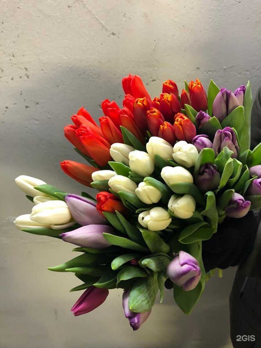 Отзывы на компанию КупиТюльпан72 в Тюмени c фото