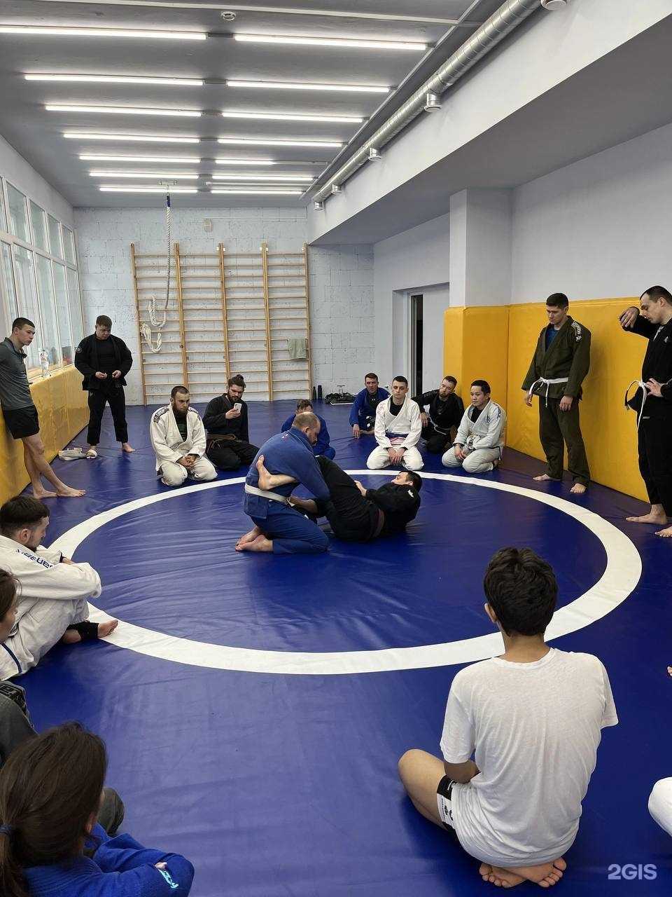 Отзывы на компанию Самбо Юниор в г. Томск c фото