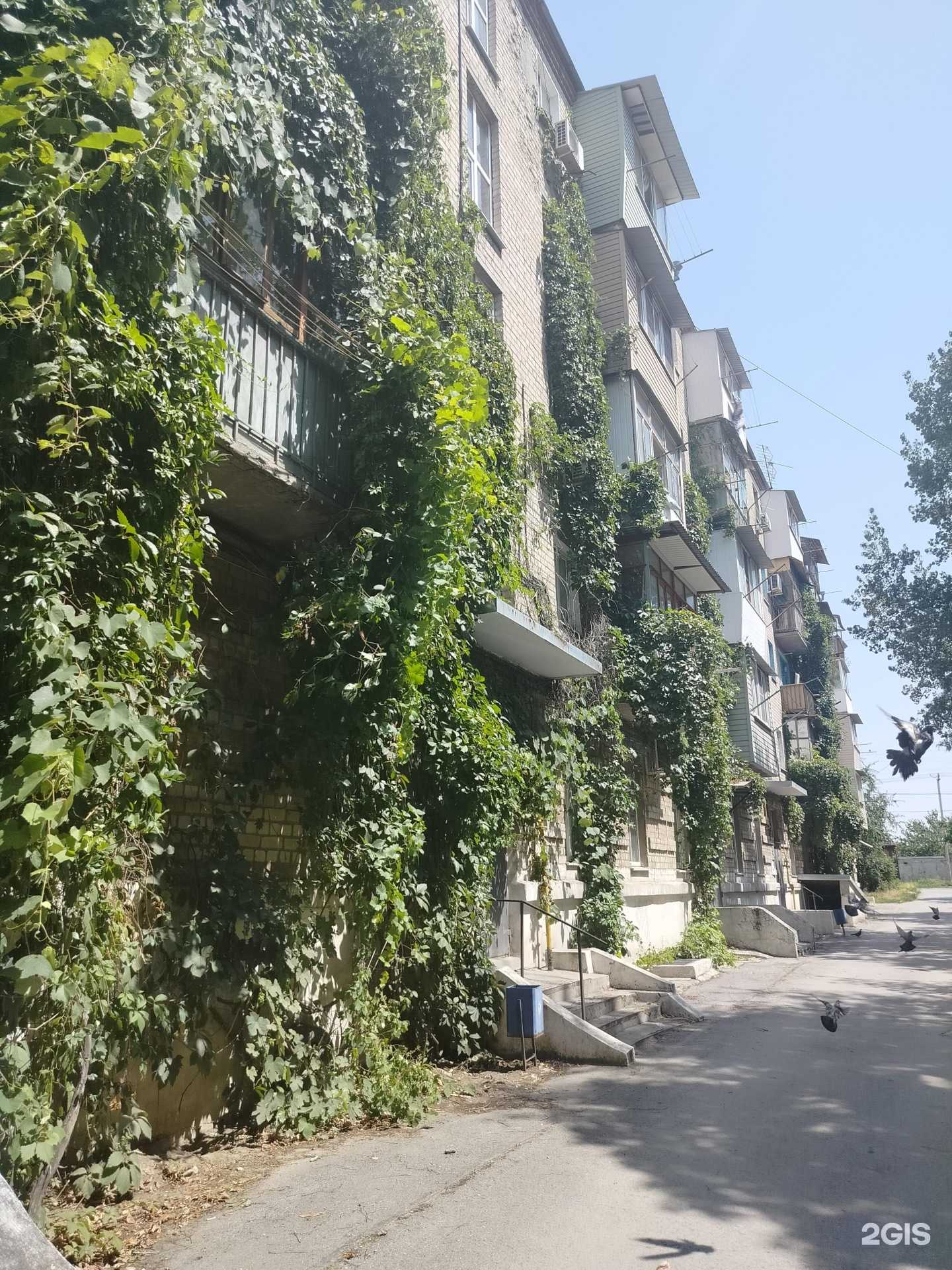 Отзывы на компанию Здоровье Плюс в Новочеркасске c фото - фотография 2 из 2