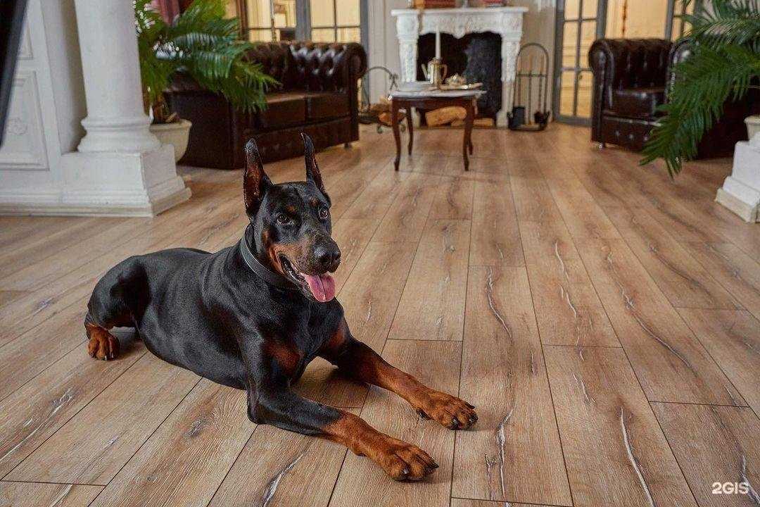 Отзывы на компанию Квадратный метр в г. Губкин c фото