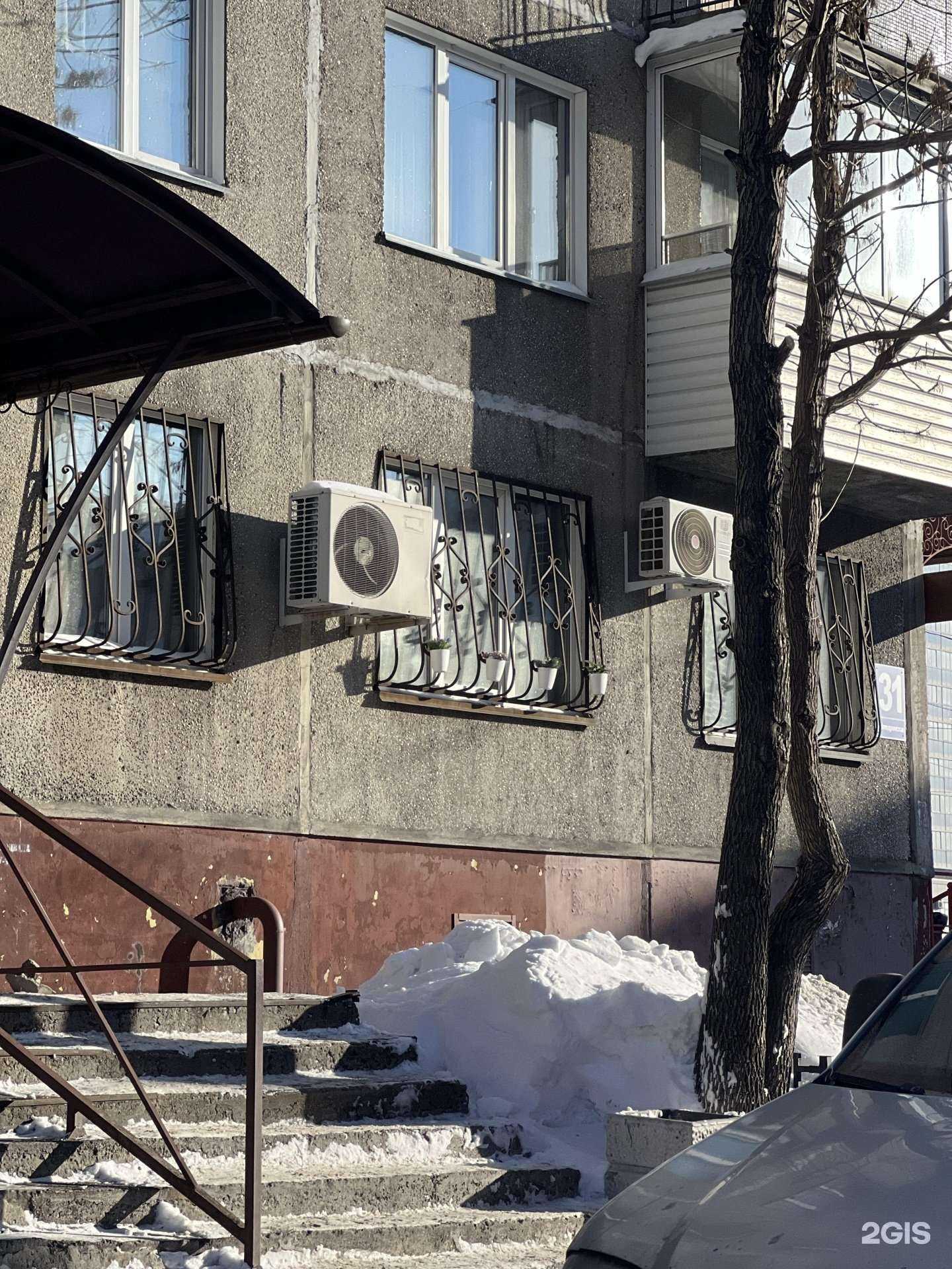 Отзывы на компанию Котёнок Гав в Новосибирске c фото - фотография 2 из 2