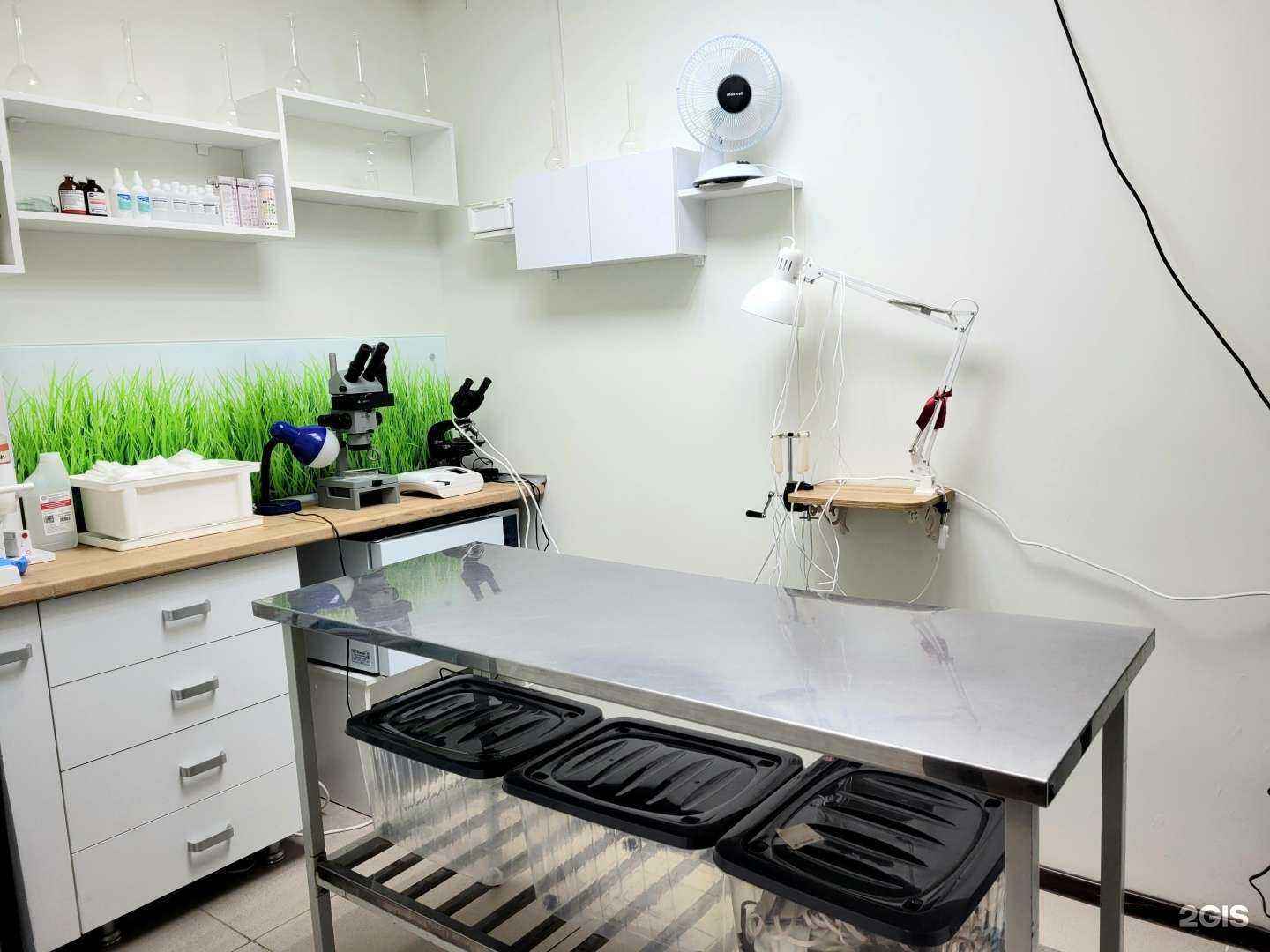 Отзывы на компанию Айболит в Астрахани c фото