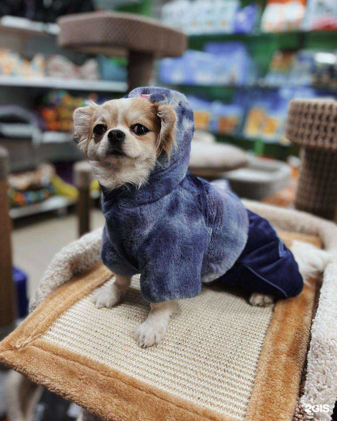 Отзывы на компанию Фауна-1 в г. Ноябрьск c фото