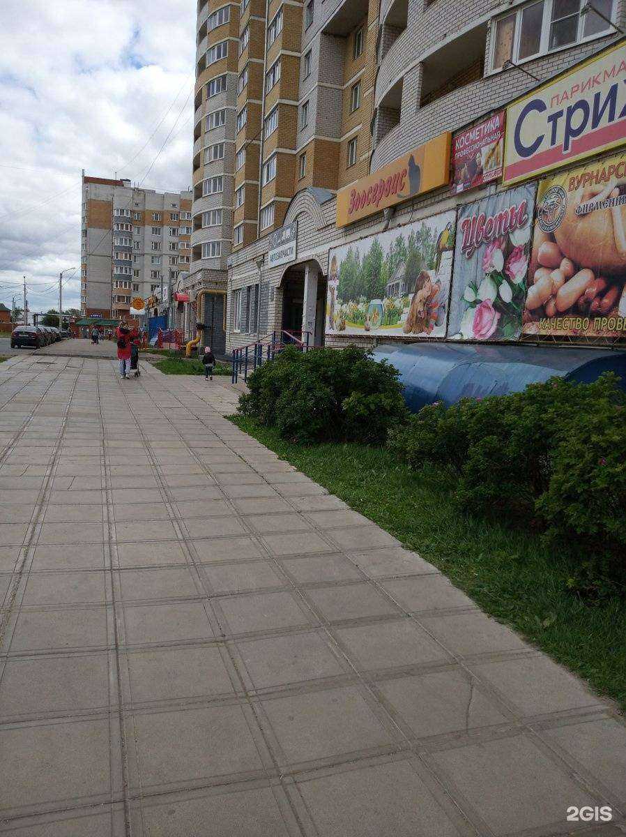 Отзывы на компанию Зоосервис в Чебоксарах c фото