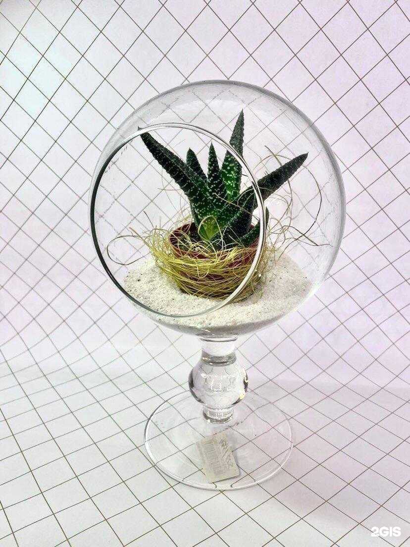 Отзывы на компанию Цветы на Тимирязева в Ижевске c фото