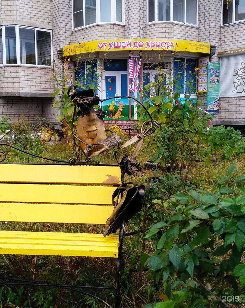Отзывы на компанию Dog&Cat-От ушей до хвоста в Чите c фото