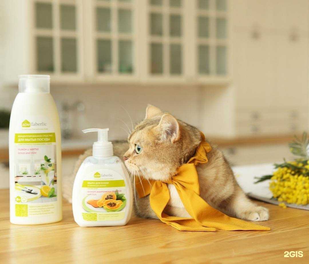 Отзывы на компанию Faberlic в Тамбове c фото