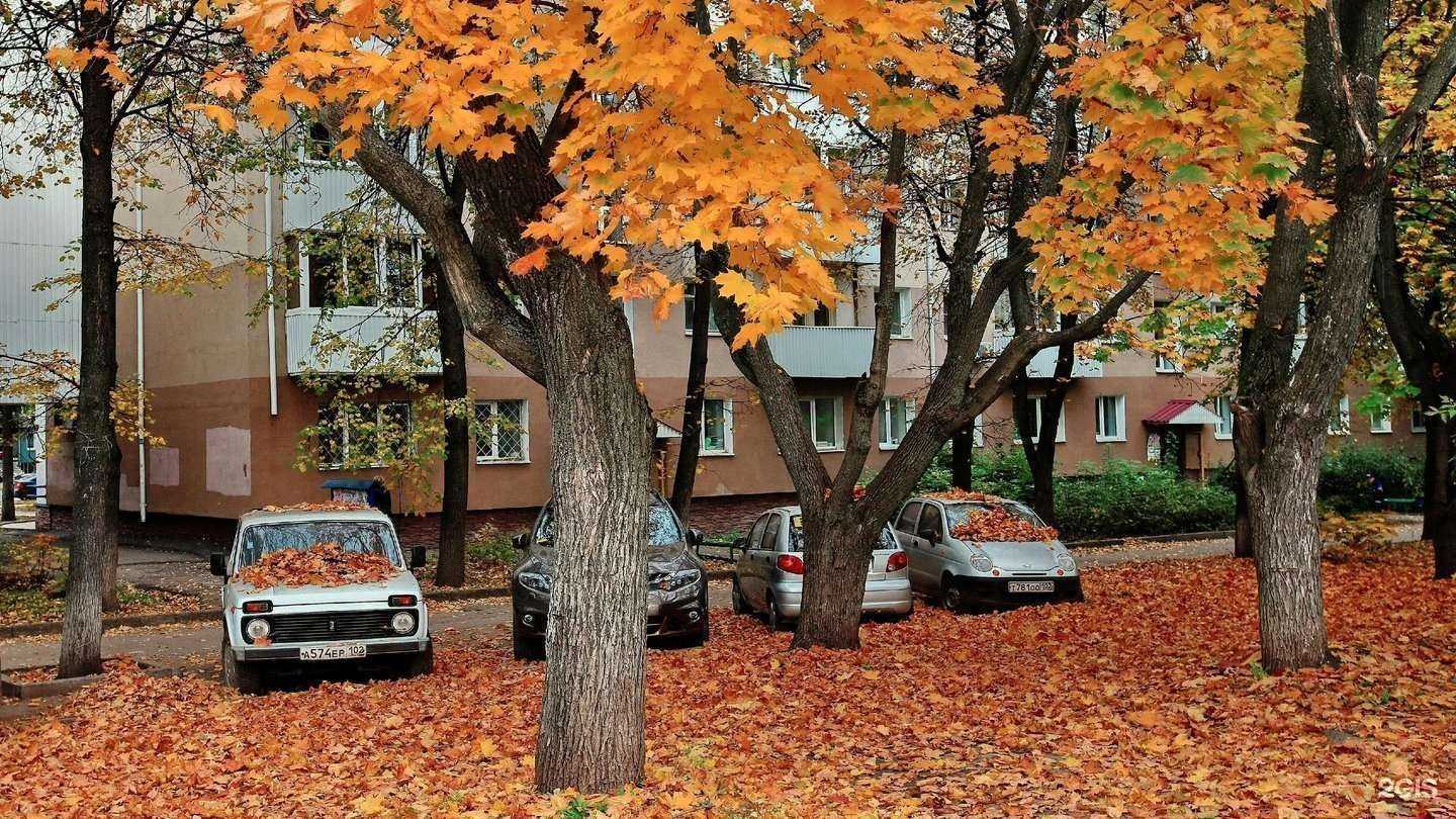 Отзывы на компанию Thefresh в Уфе c фото - фотография 2 из 2