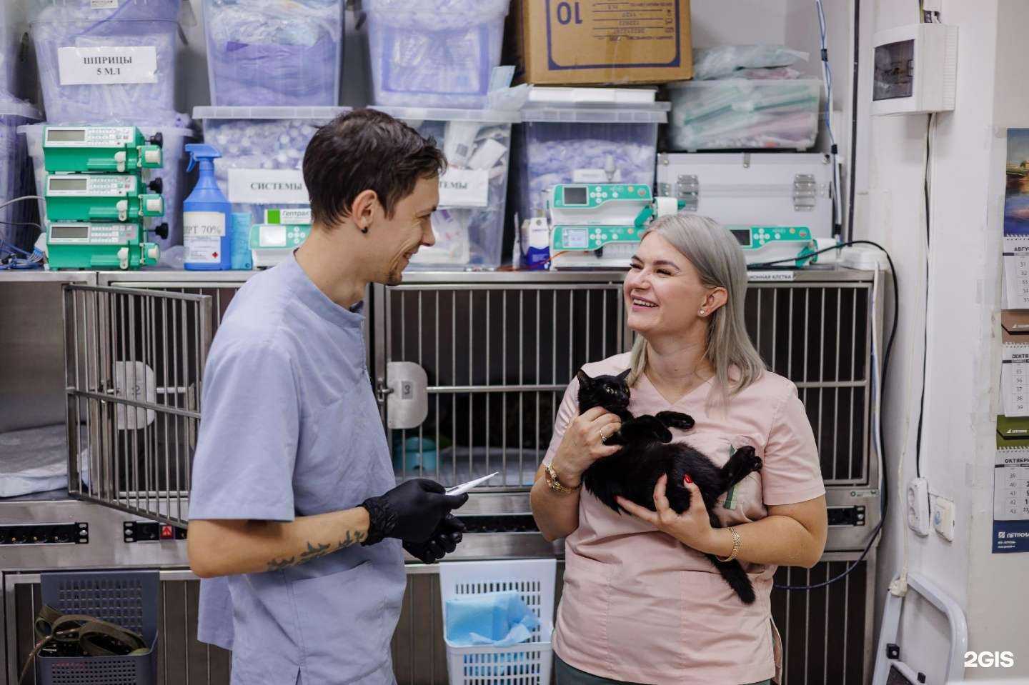 Отзывы на компанию Зоопульс в г. Челябинск c фото