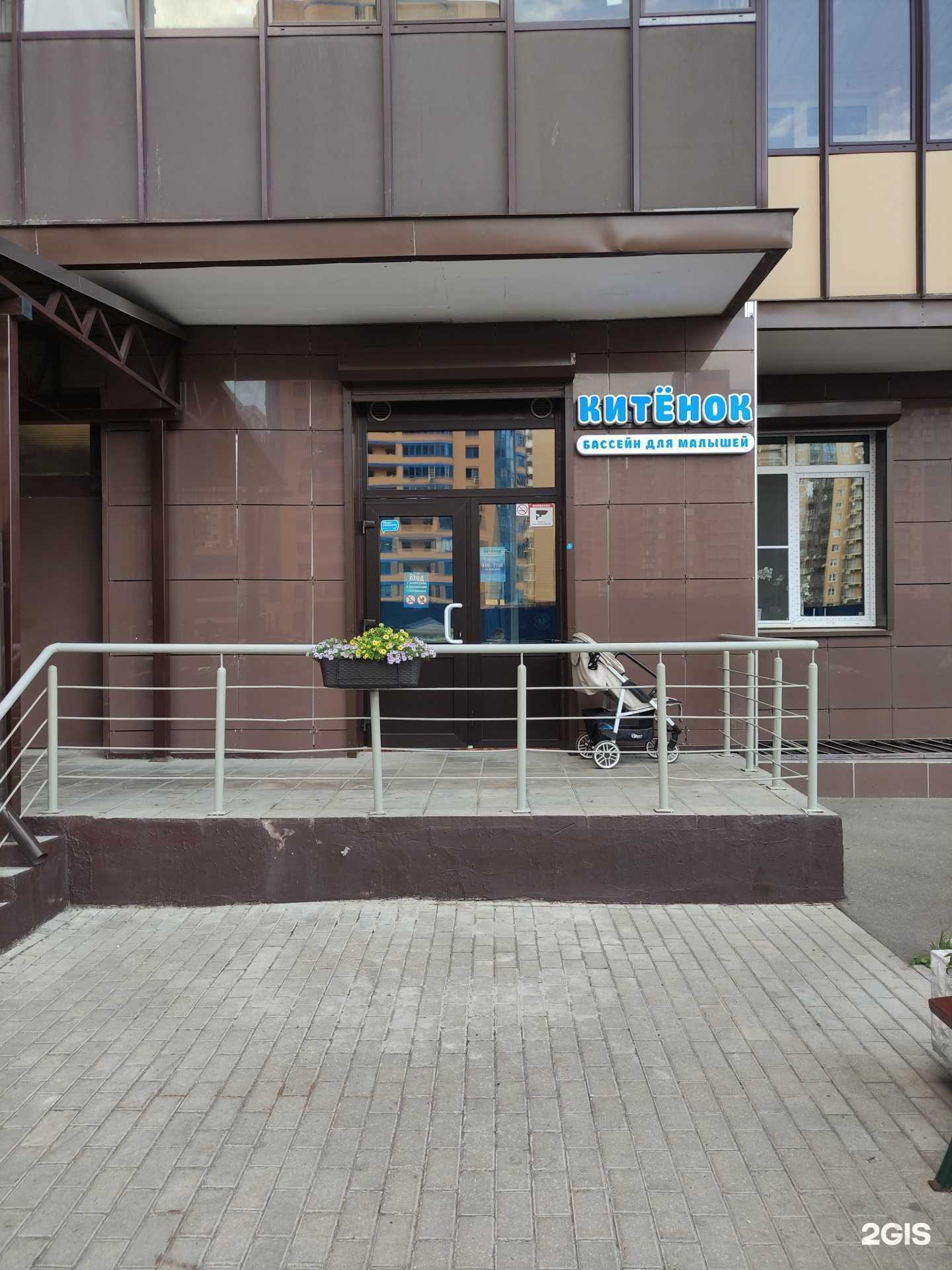 Отзывы на компанию Китёнок в г. Реутов c фото