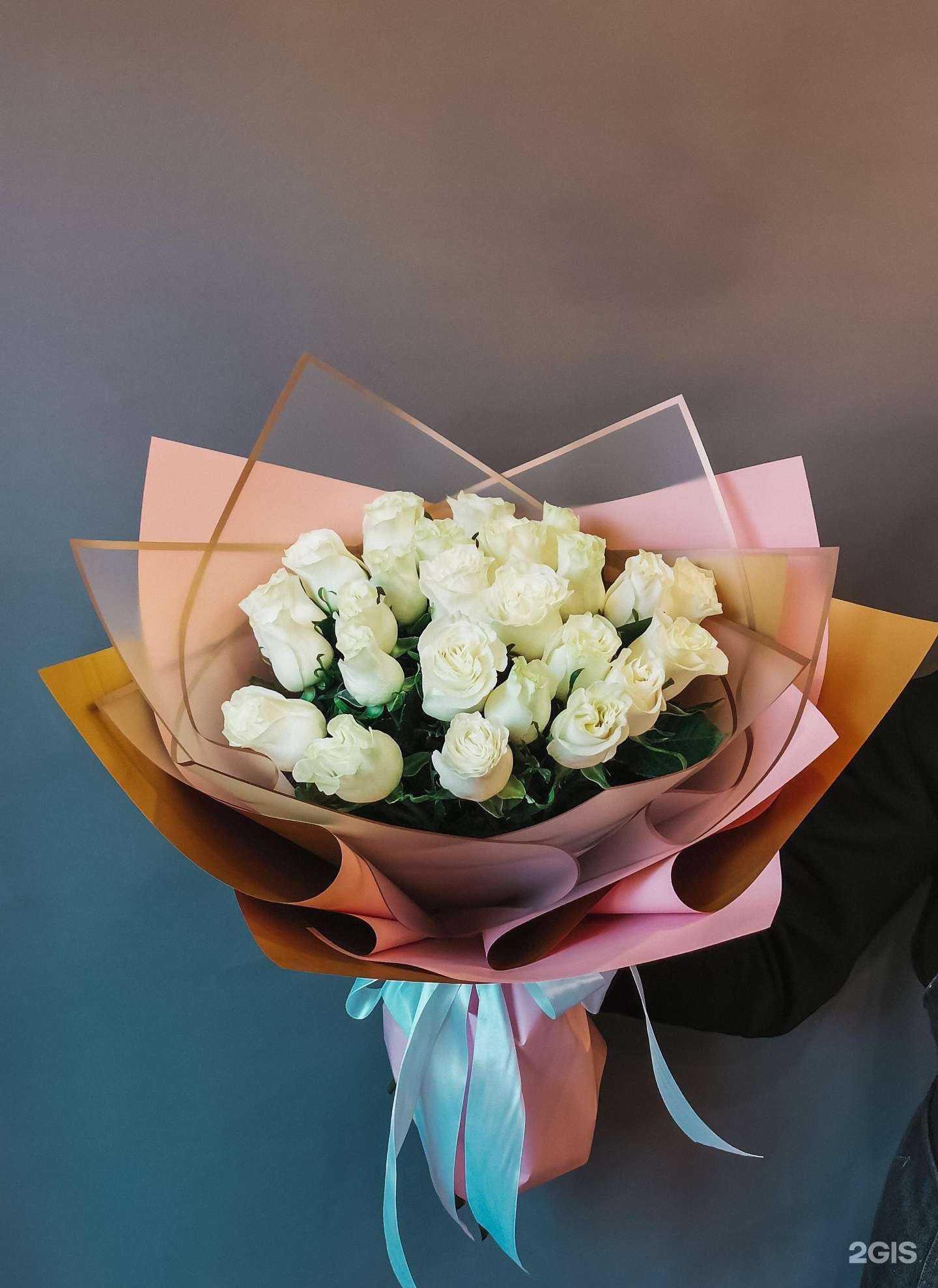 Отзывы на компанию Поп-ботаника в Владивостоке c фото