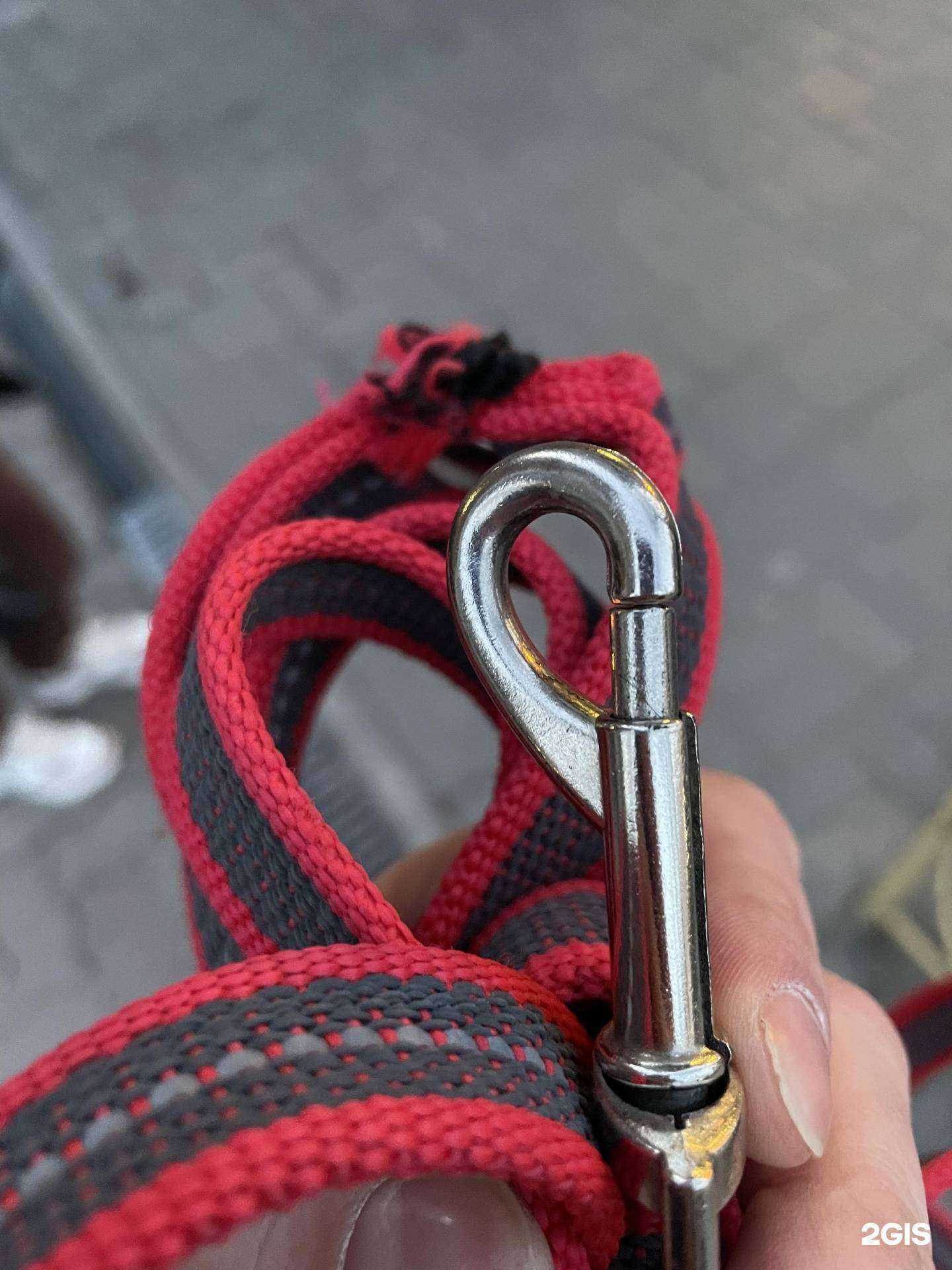 Отзывы на компанию Зоомагазин в Ростове-на-Дону c фото