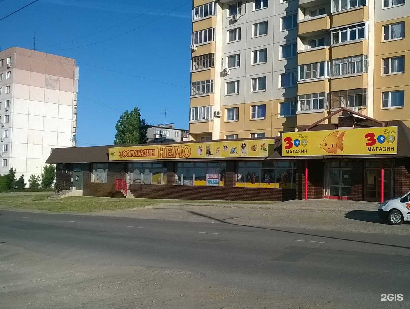 Отзывы на компанию Немо в Камышине c фото