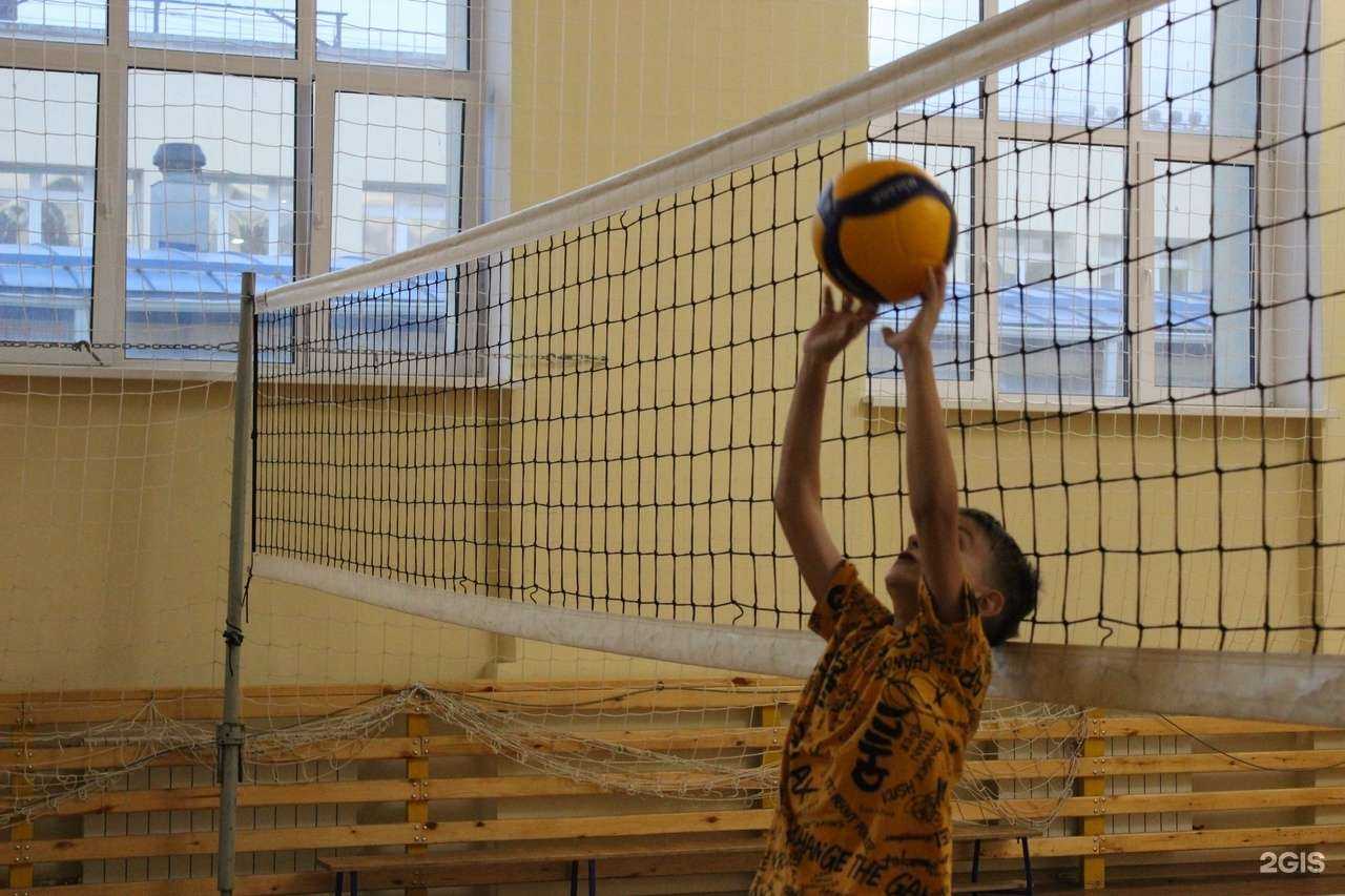 Отзывы на компанию Лис в Волгограде c фото