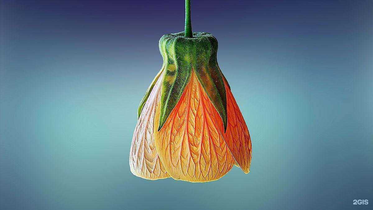 Отзывы на компанию Румдент в г. Выборг c фото