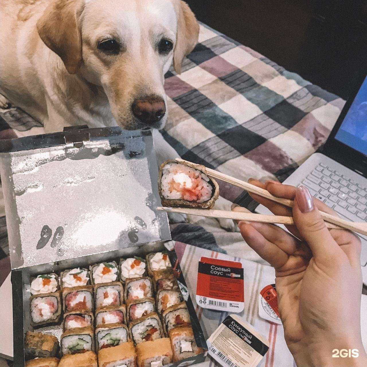 Отзывы на компанию Суши-Маркет в Сыктывкаре c фото