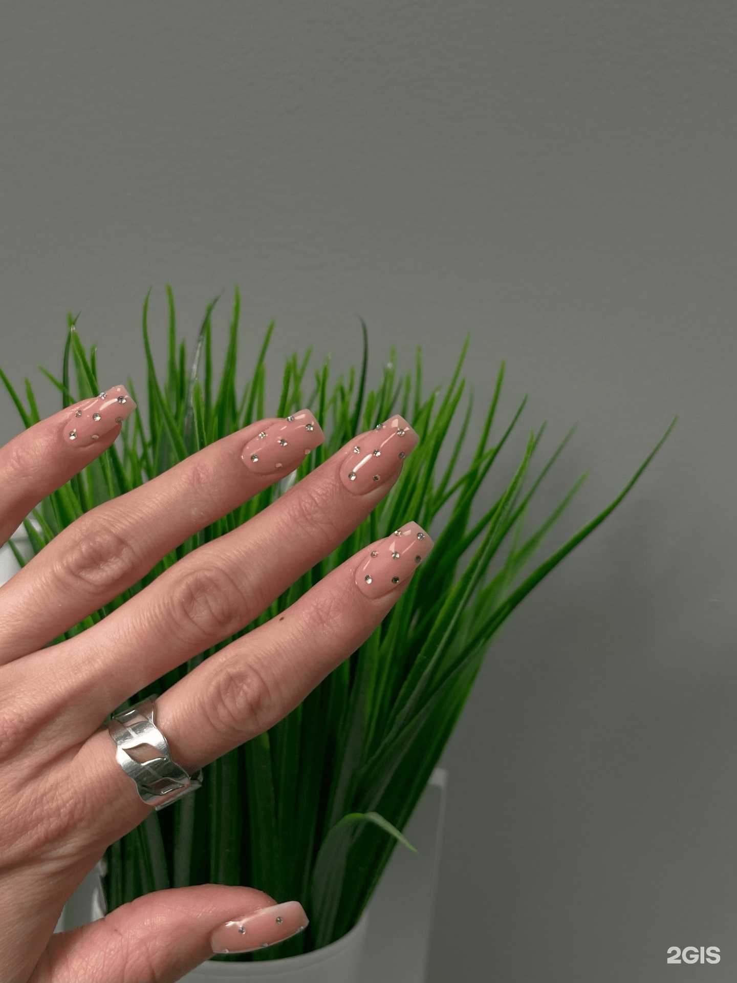 Отзывы на компанию Natura studio в Новосибирске c фото