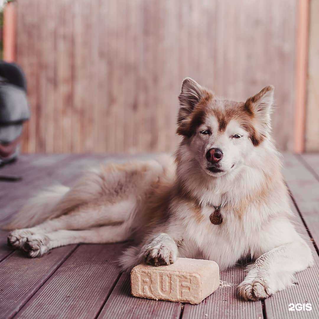 Отзывы на компанию Сосновая Линия в Хабаровске c фото