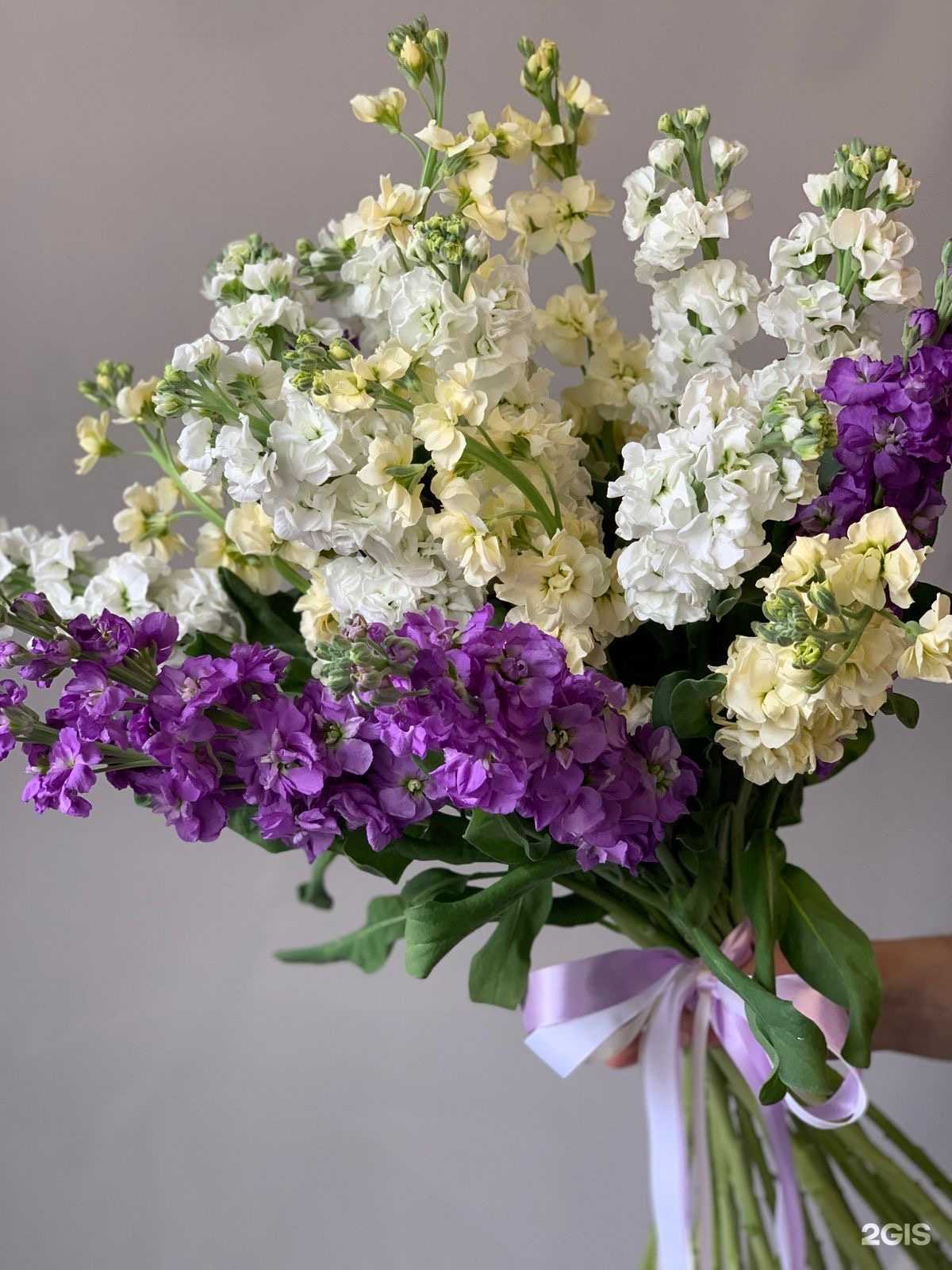 Отзывы на компанию Анна Анабель в г. Краснодар c фото