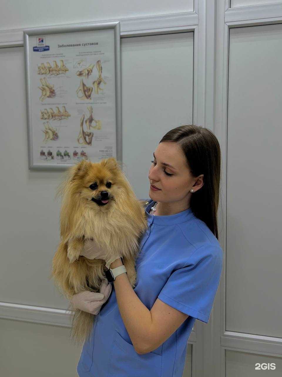 Отзывы на компанию Улвет в Ульяновске c фото