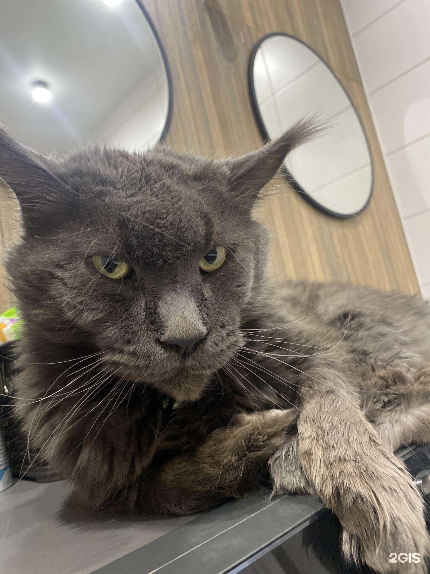 Отзывы на компанию Умка в Иркутске c фото