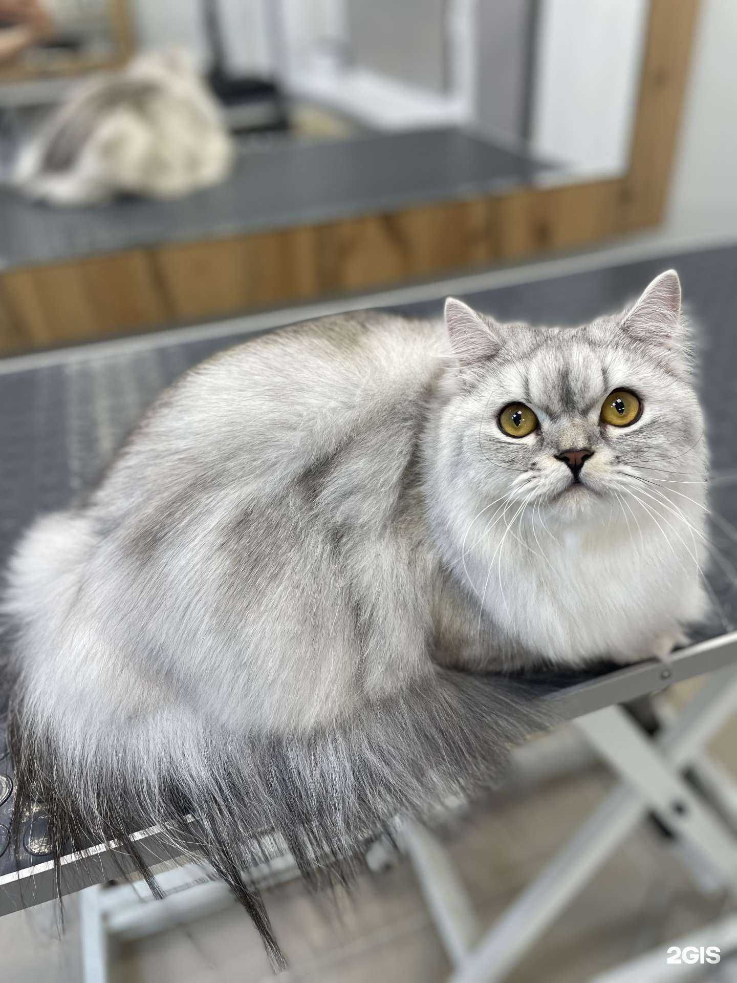 Отзывы на компанию Streegly в г. Челябинск c фото