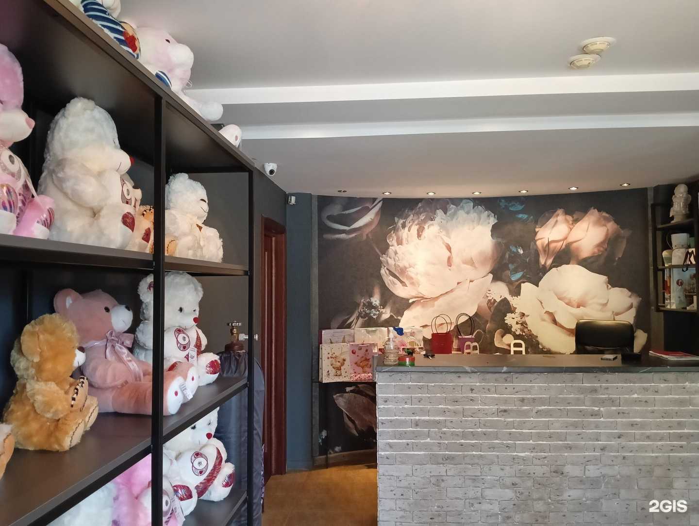 Отзывы на компанию Кактус в Омске c фото