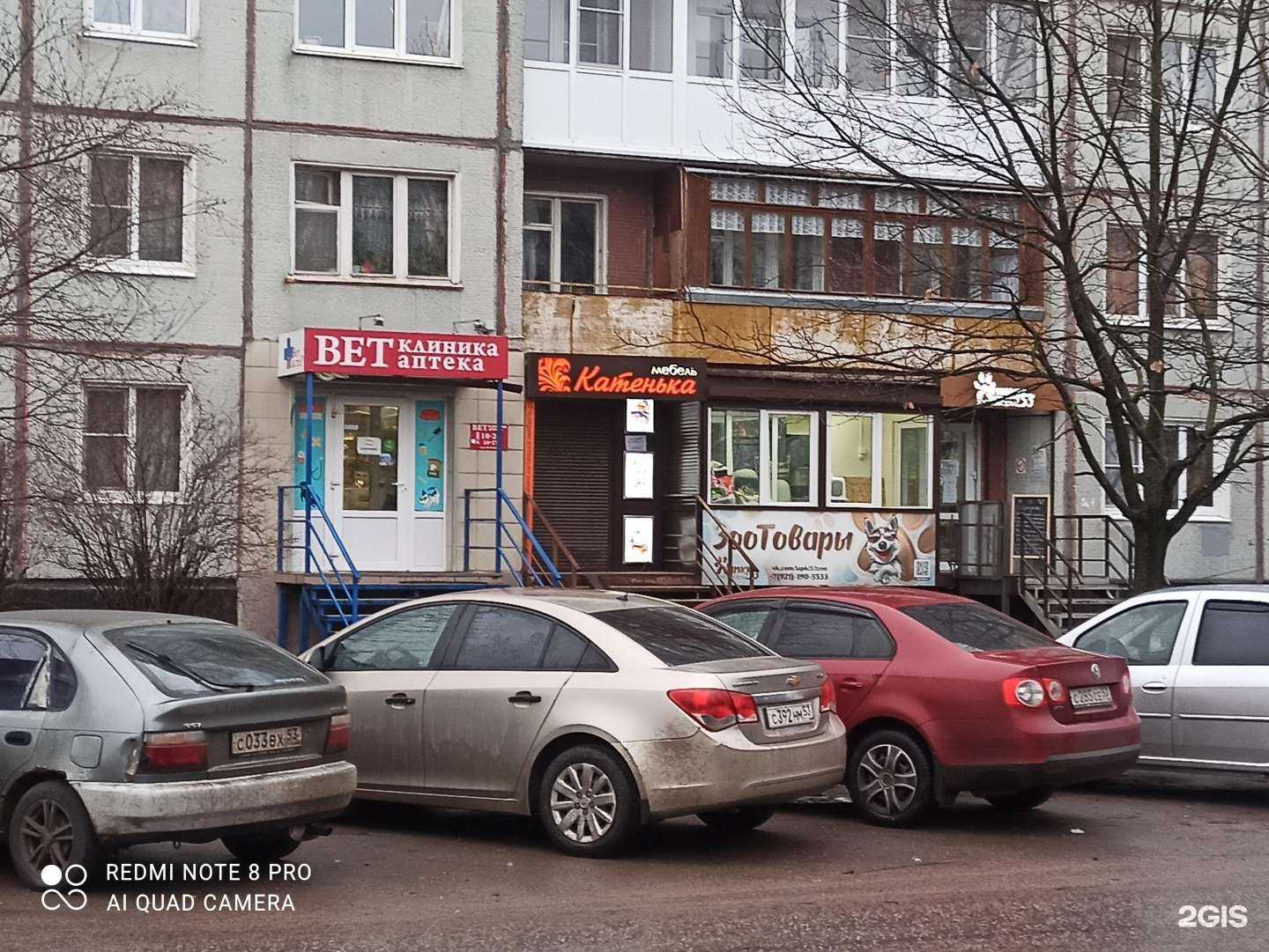 Отзывы на компанию ВетМастер в г. Великий Новгород c фото