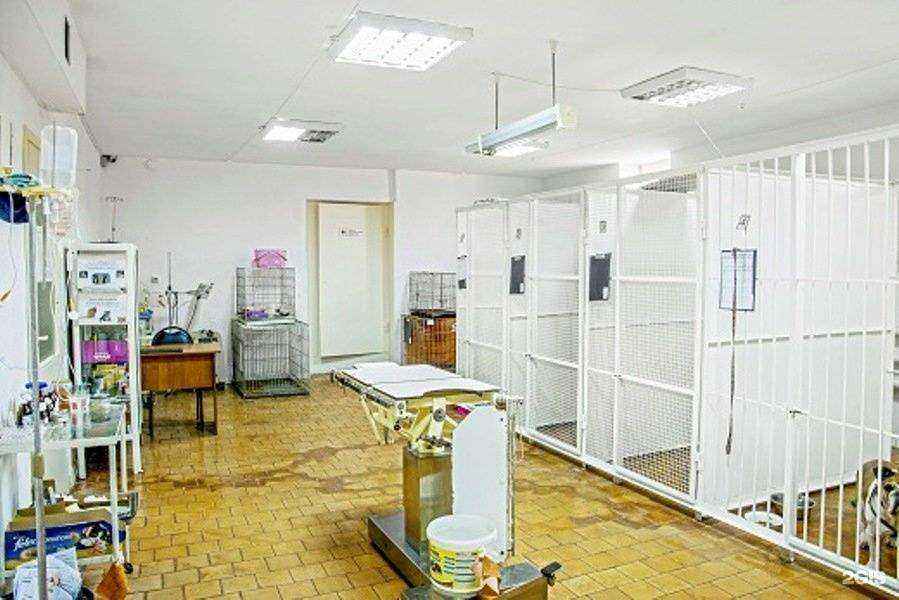 Отзывы на компанию Кот и Пёс в Оренбурге c фото