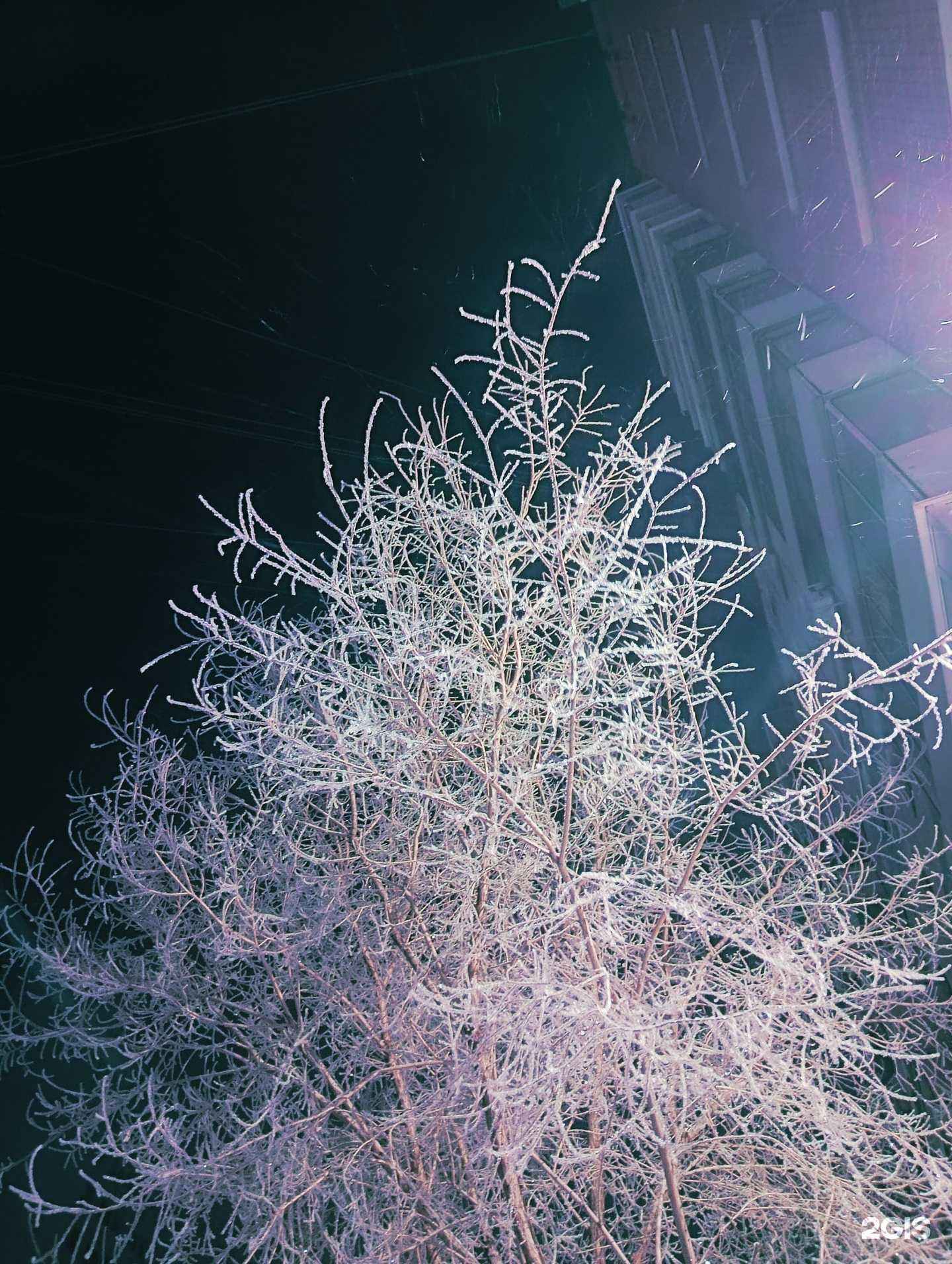 Отзывы на компанию Rikki-Tikki в Барнауле c фото - фотография 2 из 2