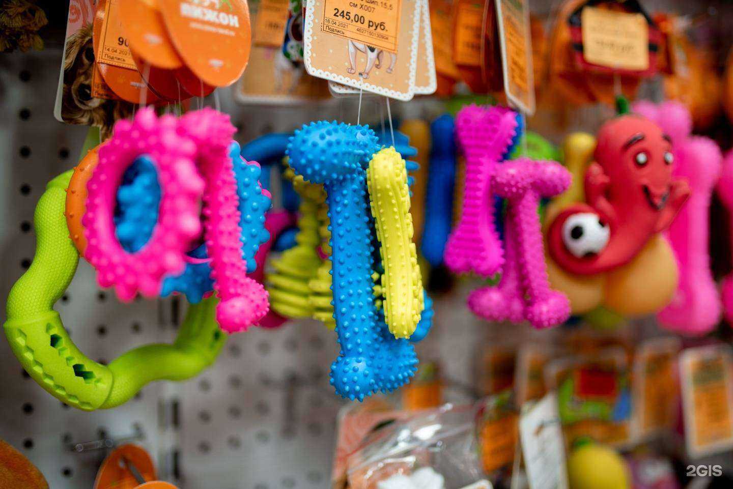 Отзывы на компанию Зообум в Костроме c фото