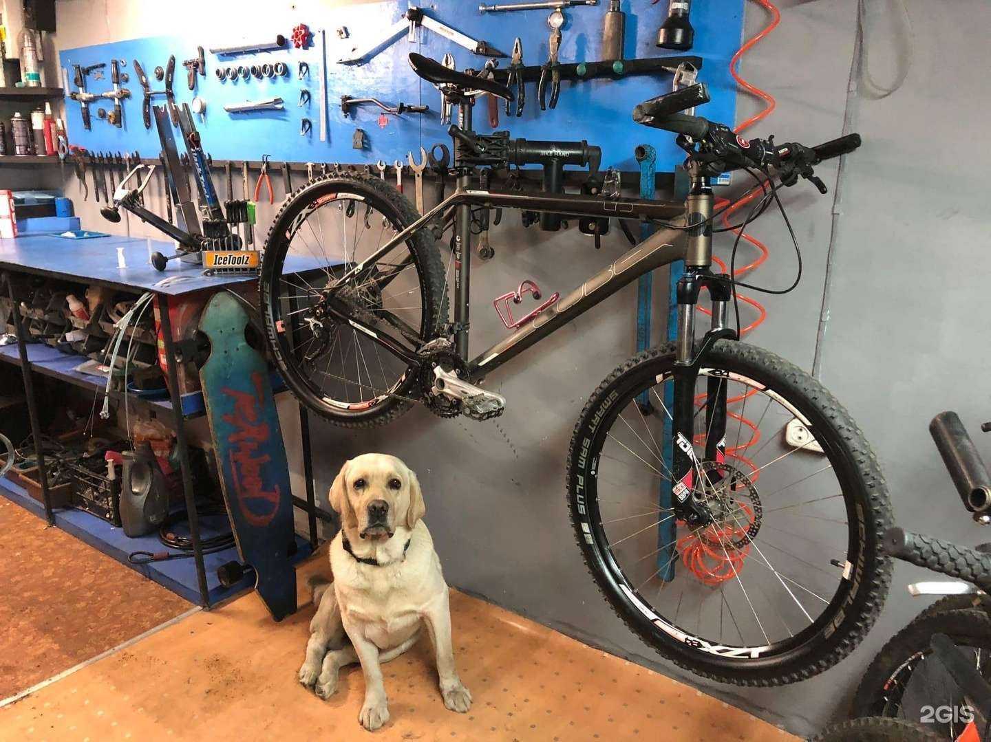 Отзывы на компанию Ride в Абакане c фото