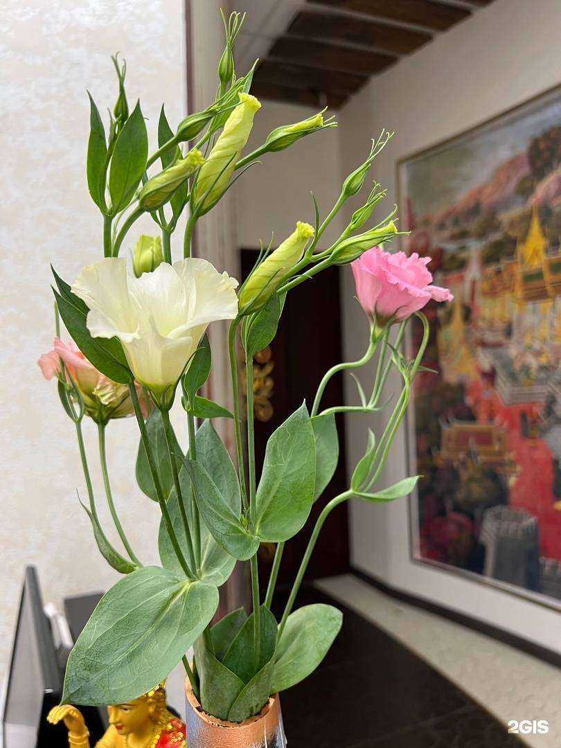 Отзывы на компанию Сиам в г. Белгород c фото