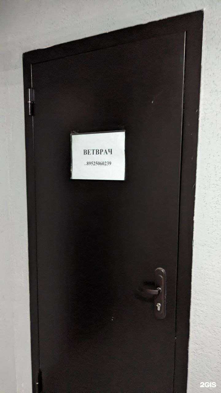 Отзывы на компанию Ветеринарный кабинет в Еманжелинске c фото