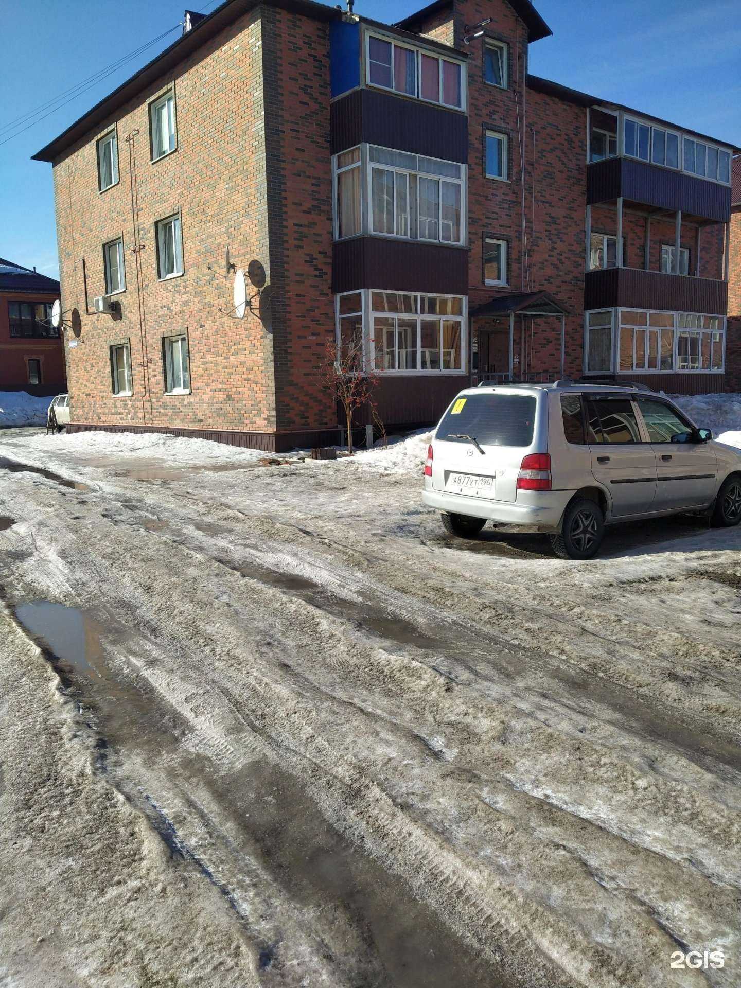 Отзывы на компанию Догиня в Новосибирске c фото - фотография 2 из 2