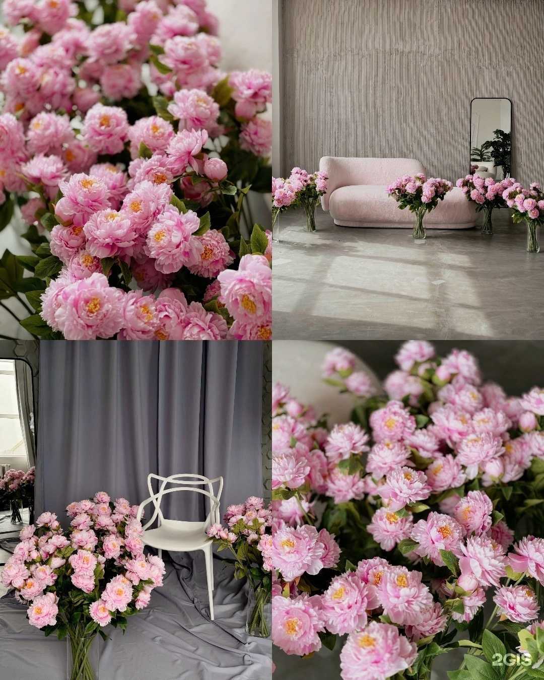 Отзывы на компанию Family в Кемерове c фото