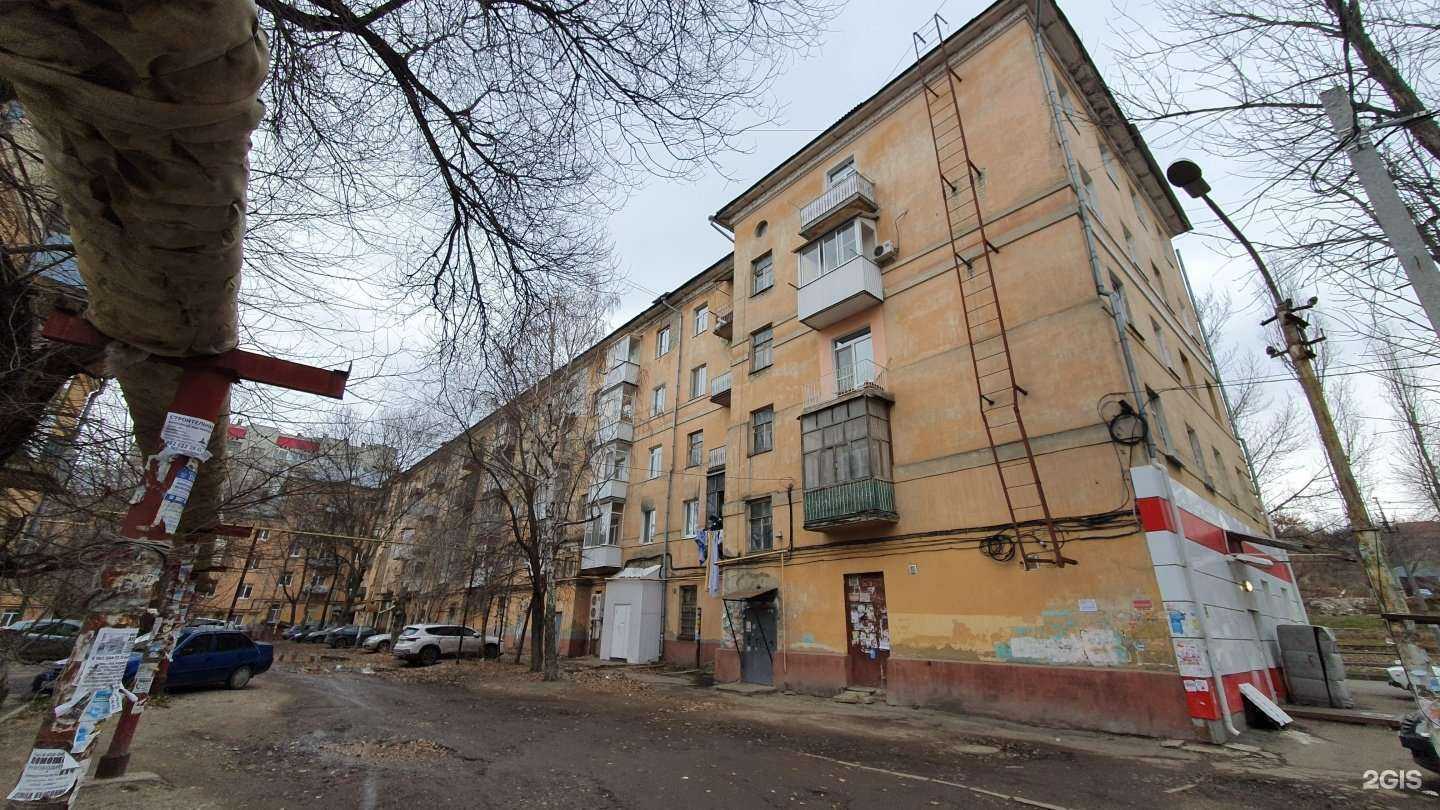 Отзывы на компанию Котопёс в Саратове c фото - фотография 2 из 2