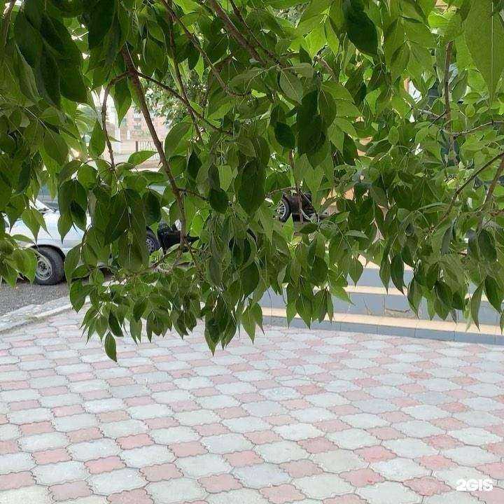 Отзывы на компанию Клиника трудных болезней в г. Грозный c фото