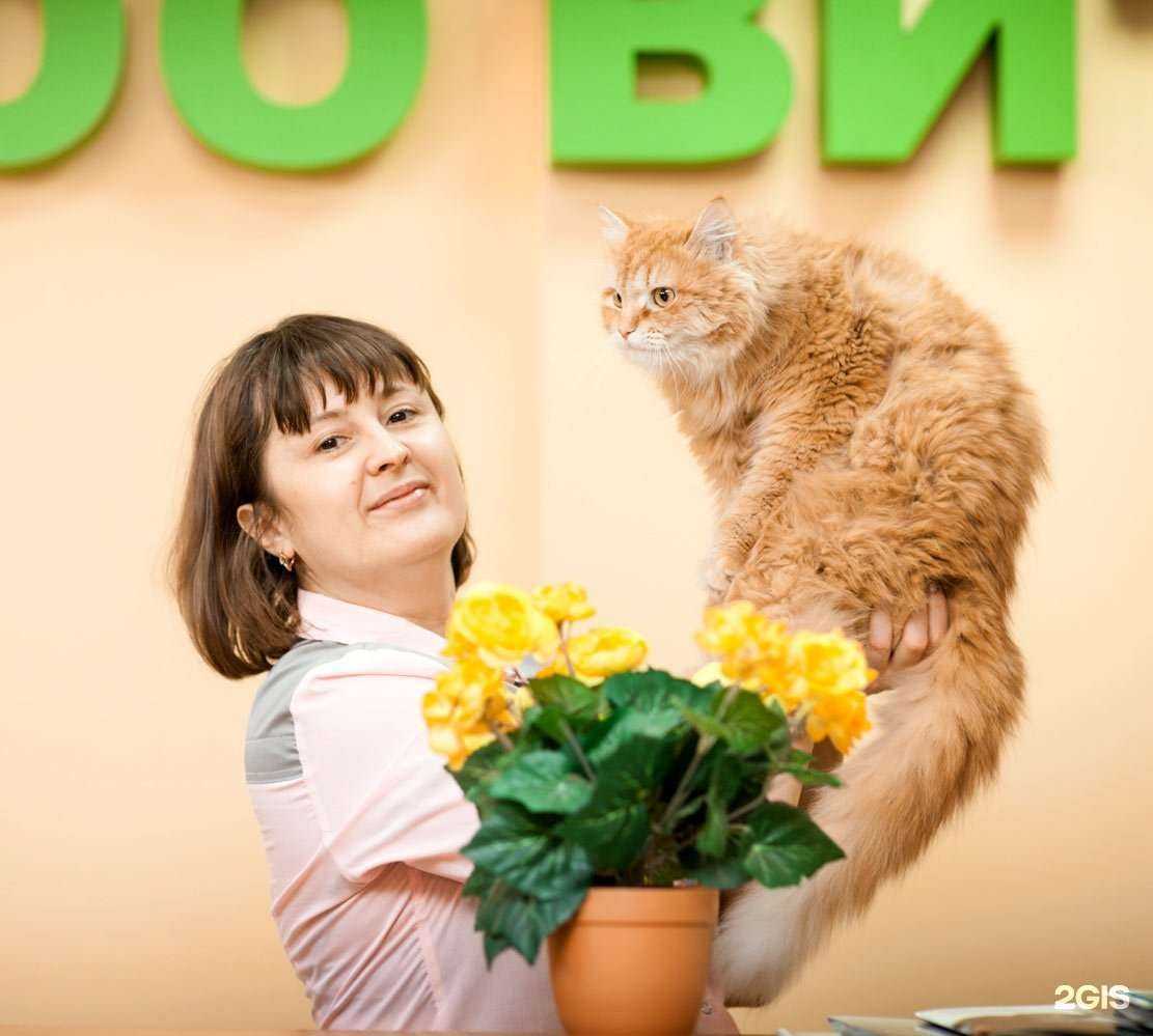 Отзывы на компанию Зоовита в Казани c фото