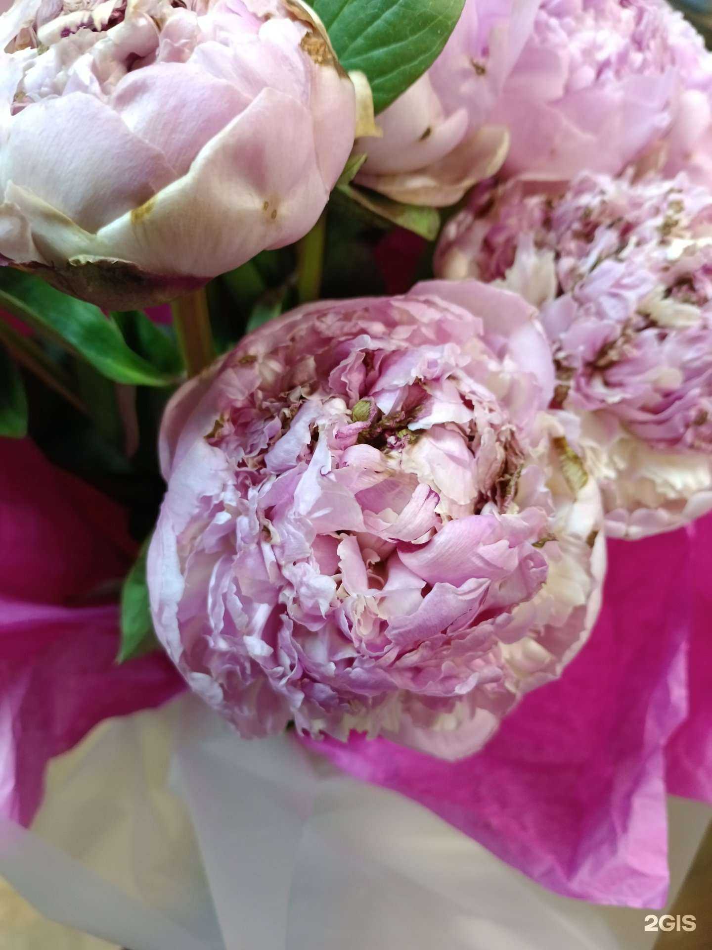 Отзывы на компанию Твой Флорист в Твери c фото