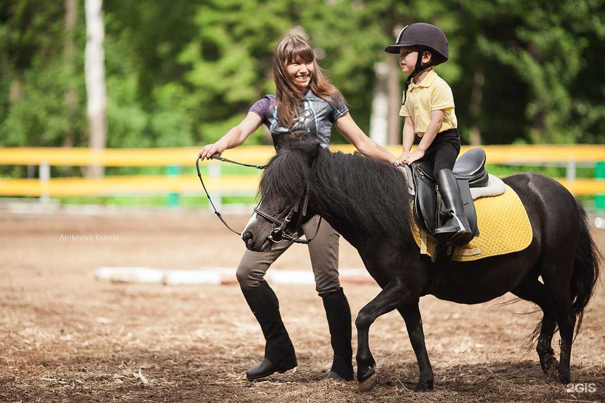 Отзывы на компанию Виват в Вологде c фото