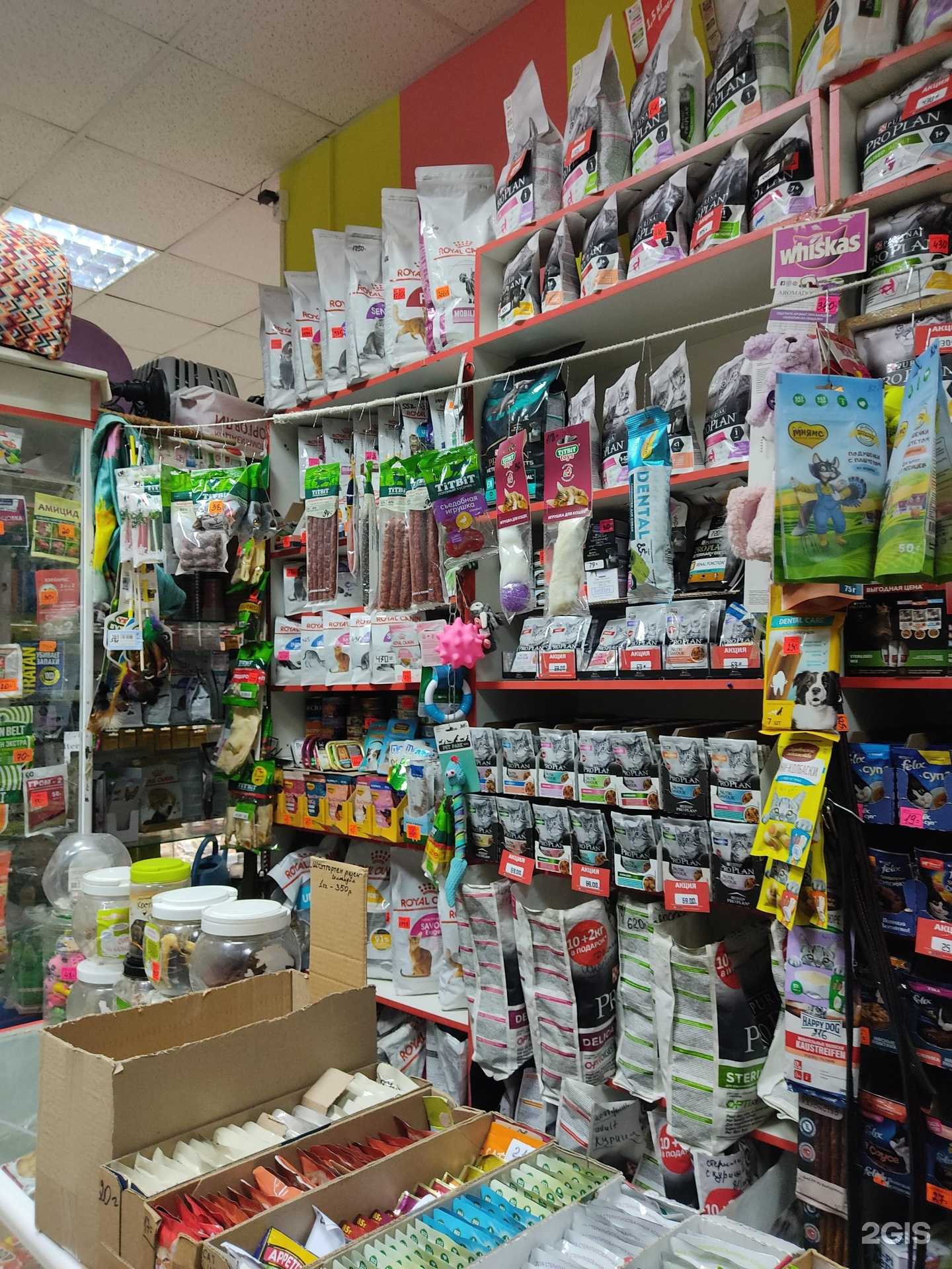 Отзывы на компанию Магазин зоотоваров в Нижнем Новгороде c фото