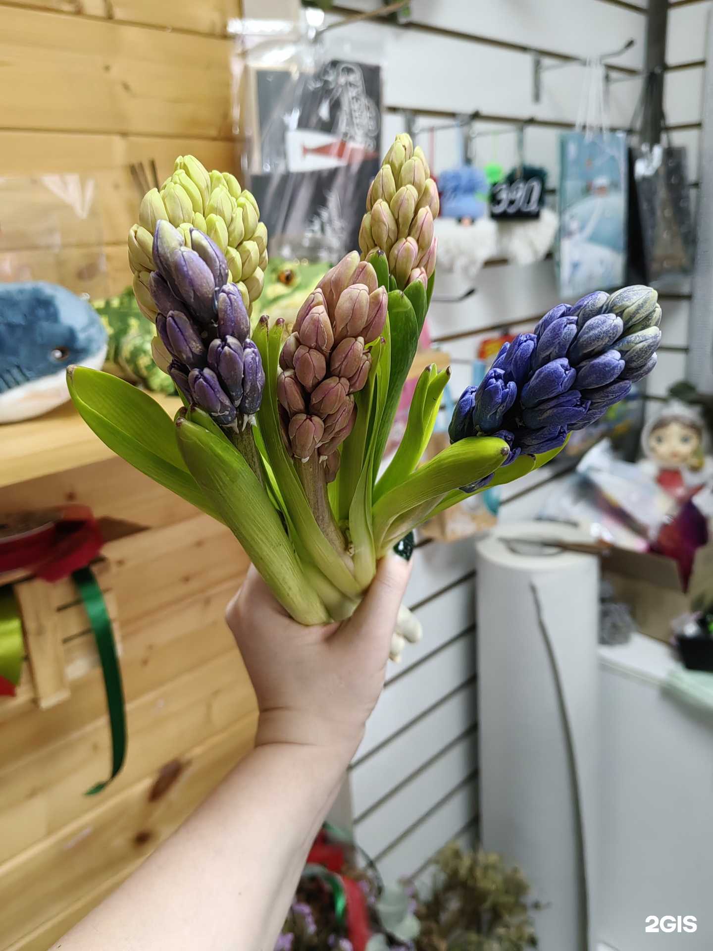 Отзывы на компанию Sunflowers74 в г. Челябинск c фото