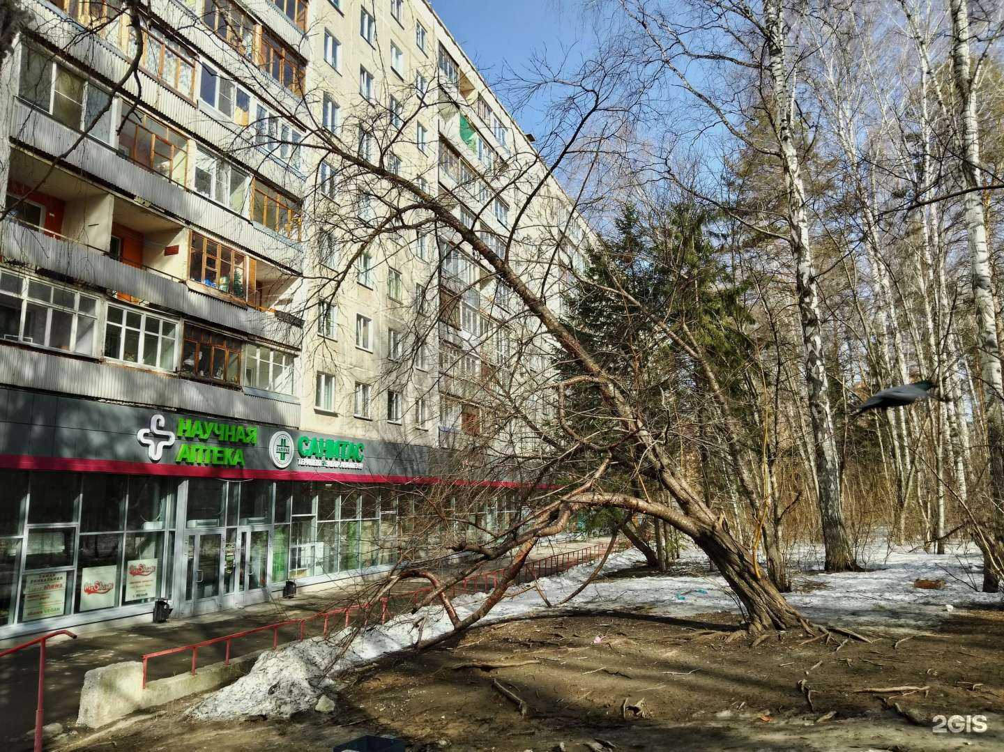 Отзывы на компанию Научная в Новосибирске c фото - фотография 2 из 2