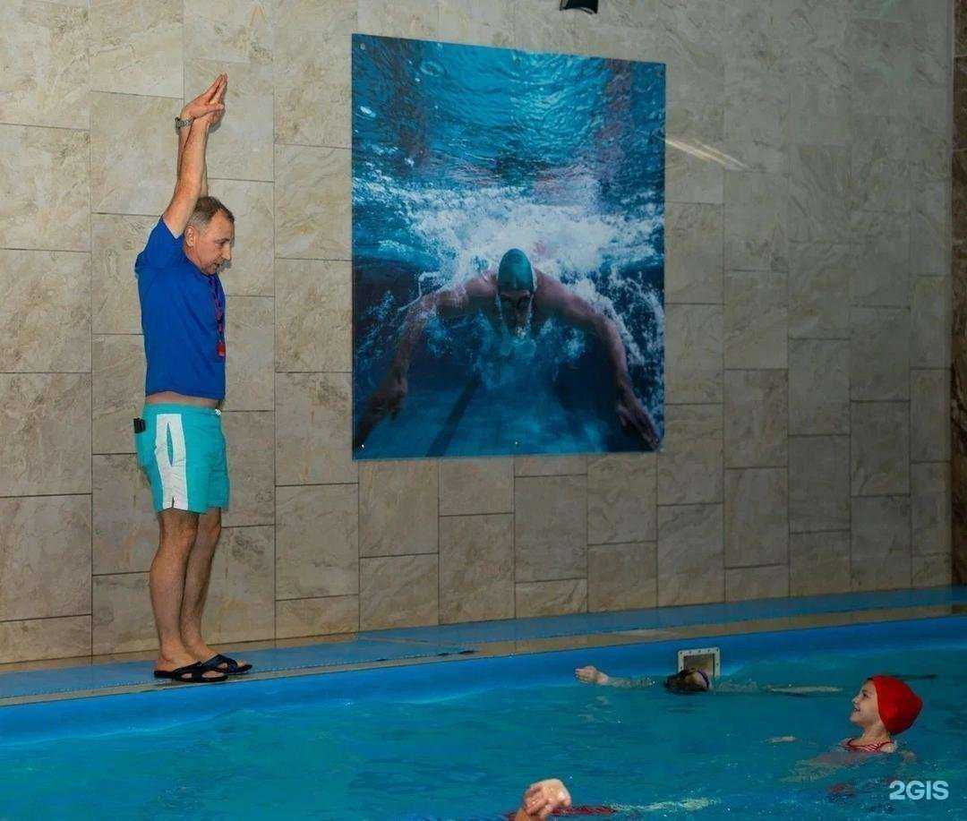 Отзывы на компанию Альбатрос в Волгограде c фото