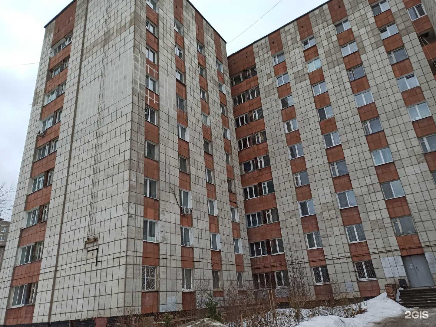 Отзывы на компанию Пёс его знает в Перми c фото - фотография 2 из 2