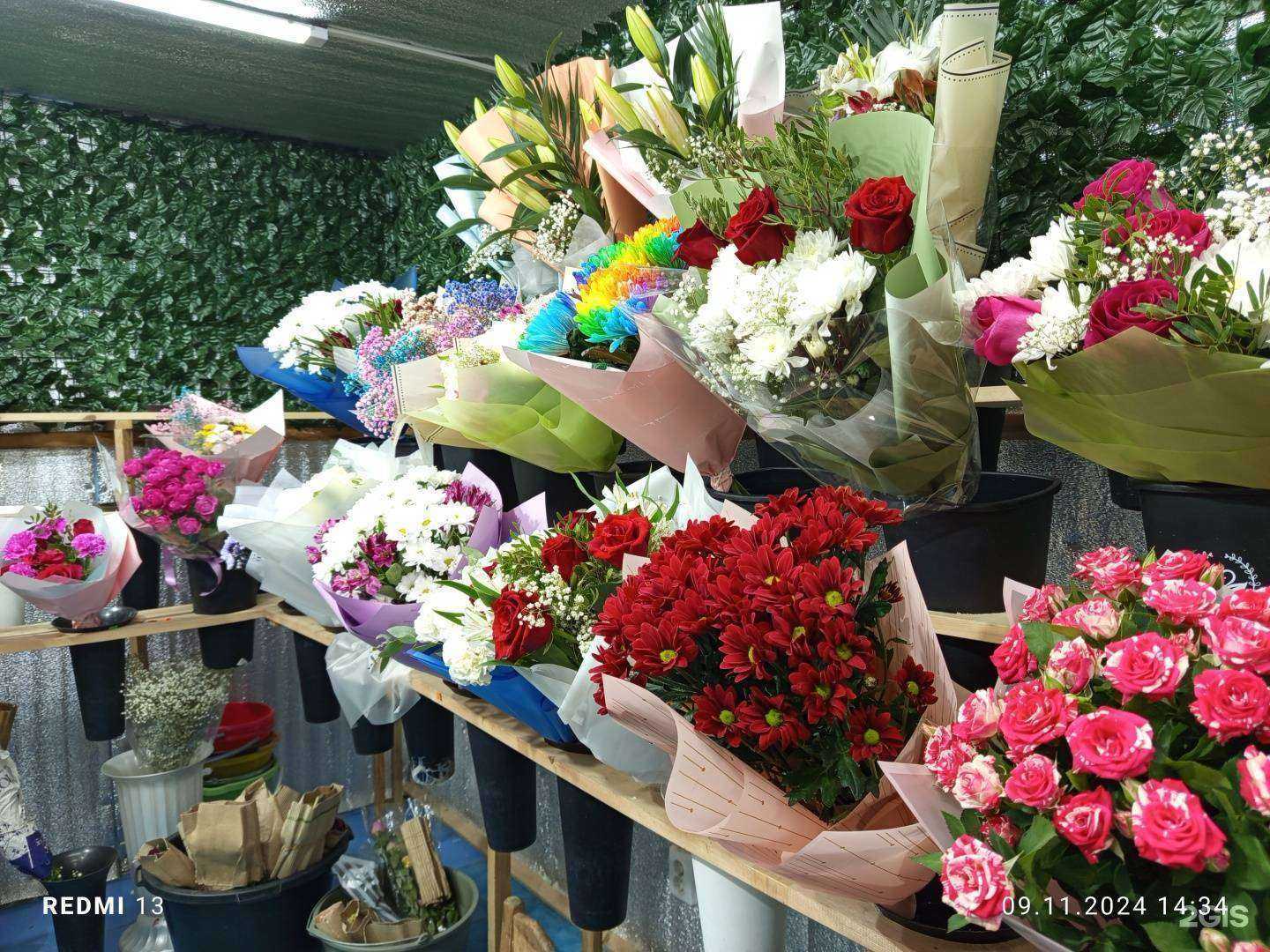 Отзывы на компанию Anna в Якутске c фото